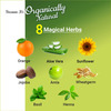 Indus Valley Organically Natural Damage Free Gel Hair Color-Burgundy