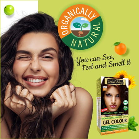 Indus Valley Organically Natural Damage Free Gel Hair Color-Burgundy