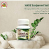 Hass Sanjeevani Vati (80 Tab Of 250 Mg Each) For Typhoid Fever For Body Detoxification