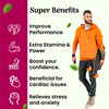 Cipzer Kushta Sadaf | Supports Male & Female Vitality| Helps Combat Debilities | 10 G
