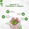Himalayan Organics Triphala | Bottle | 120 Veg Tablets