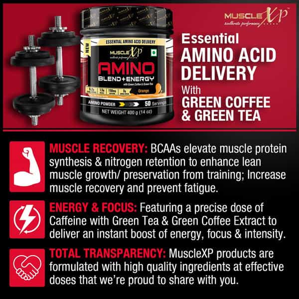 Musclexp Essential Health Care | Amino Blend + Plant Protein (400G Each)