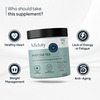 Miduty Matcha Tea - Mct Fat - Antioxidant - Coconut Milk Powder - Anti Aging - Weight Loss - 260G