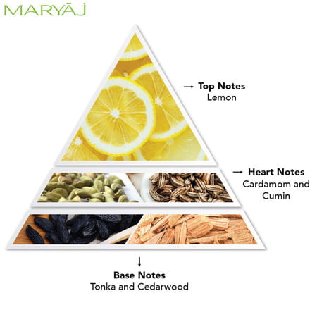 Maryaj Dynamic For Him Edp 100 Ml & Tuxedo For Him Edp 100ml Pack Of 2