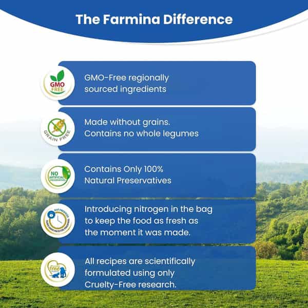Farmina N&D Pumpkin Adult Medium/Maxi Dog Food | Lamb | Blueberry & Pumpkin | 12Kg