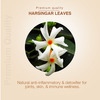 Ayouthveda Harsingar Leaves Decoction - 200G