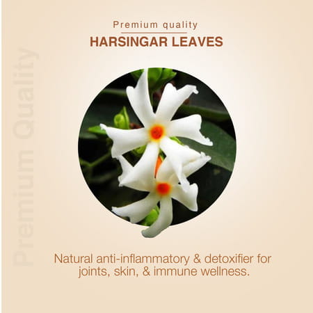 Ayouthveda Harsingar Leaves Decoction - 200g