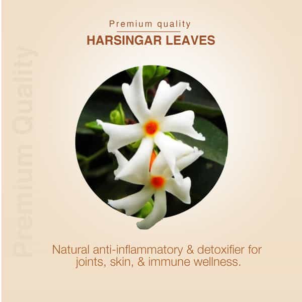Ayouthveda Harsingar Leaves Decoction - 200G