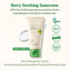 Skinfood Berry Soothing Sun Cream - Luxurious Sunscreen - Uv Damage And Environmental Stressors 50Ml