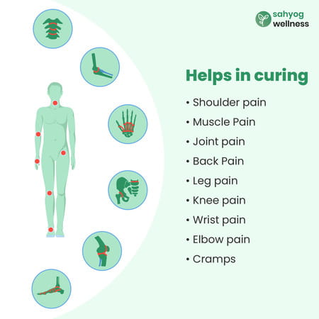 Sahyog Wellness Orthopaedic Electric Heating Belt For Any Body Pain Relief With Cover (White)