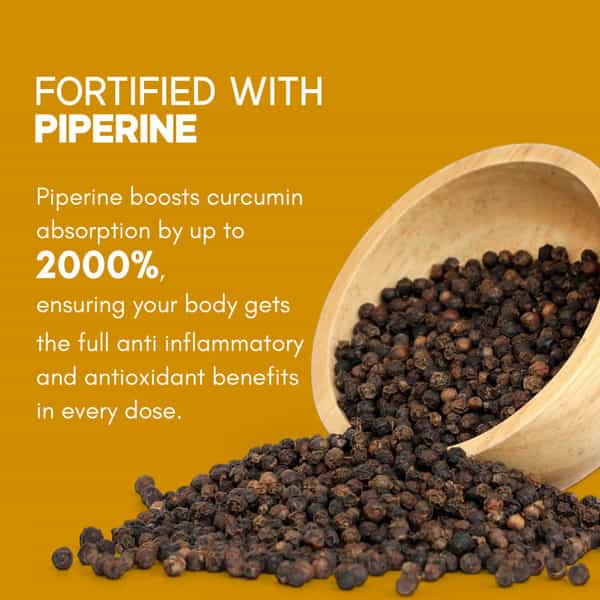 Rasayanam Curcumin 1600Mg | Nano Curcumin 95% Curcuminoids | Turmeric & Piperine - 60 Capsules
