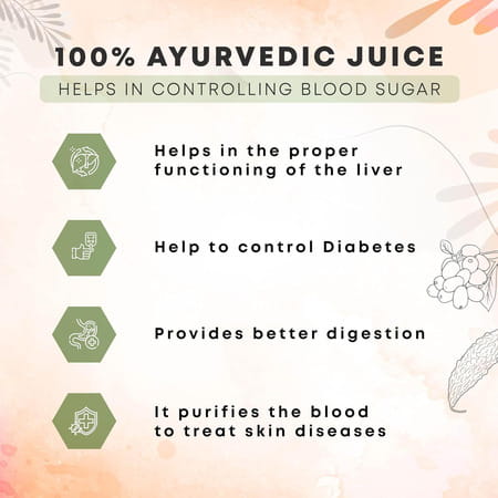 Four Seasons Karela Jamun Juice 1L | Helps Control Blood Sugar Levels & Cholesterol
