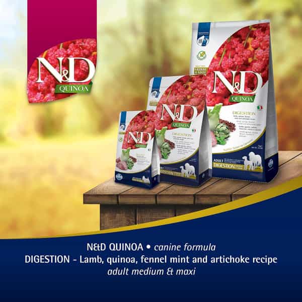 Farmina N&D Quinoa Digestion Adult Dog Food | Lamb | Supports Digestive Health | 2.5Kg