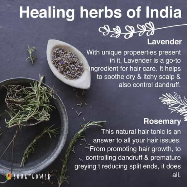 Soulflower Rosemary Lavender Hair Cleansing Bar Soap With Jojoba Oil 150Gm