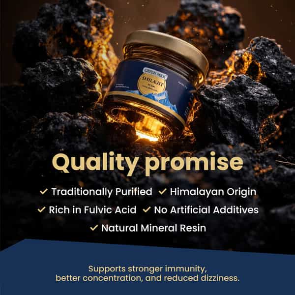 Green Milk Concepts Green Milk Shilajit Resin For Vitality | Strength & Stamina | 20G