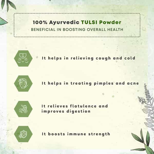 Four Seasons Tulsi (Holy Basil) Powder | Immunity Boost And Respiratory Wellness (Pack Of 3)
