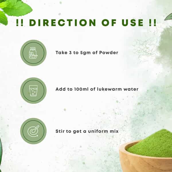 Four Seasons Tulsi (Holy Basil) Powder | Immunity Boost And Respiratory Wellness (Pack Of 3)