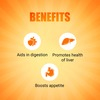 Maxirich Livercare Syrup 200Ml