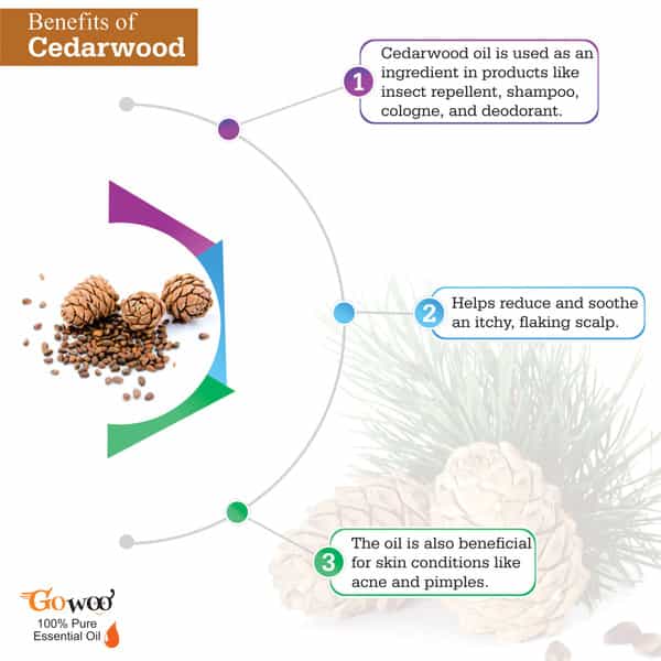Pack Of 2 Cedarwood Essential Oil & Pumpkin Seed Carrier Oil - 100% Pure & Natural Therapeutic Grade