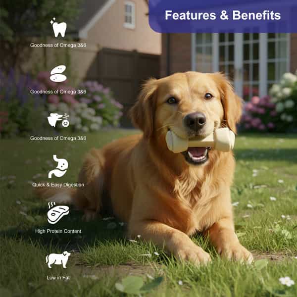 Snackers Non Rawhide Chews Bone White Dog Treats | 225 G