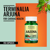 Morpheme Remedies Terminalia Arjuna 500Mg Extract 60 Veg Caps
