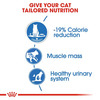 Royal Canin Light Weight Care Cat Food | 85 Grams | Pack Of 12 Sachet | Wet Food