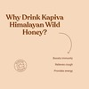 Kapiva Wild Honey - 250Gm