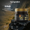 Krishna's Shilajit 20 G