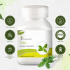 Four Seasons Tulsi Tablets - 60 Tabs | Overall Wellness | Respiratory Health | Immunity (Pack Of 2)