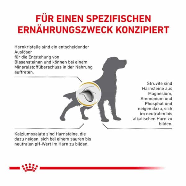 Royal Canin Urinary S/O Adult Dog Food | 2 Kg | Dry Food