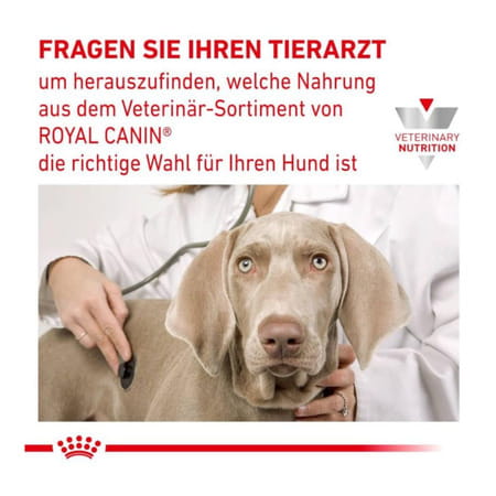 Royal Canin Urinary S/O Adult Dog Food | 2 Kg | Dry Food