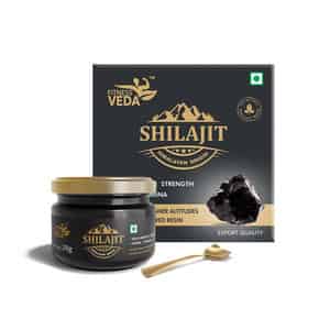 Fitness Veda Himalayan Pure Shilajit Resin For Strength & Endurance | For Unisex - Pack Of 1
