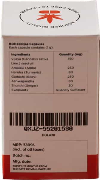 Armor - Immunity Booster Capsules - 30 Capsules