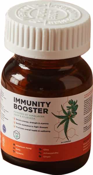Armor - Immunity Booster Capsules - 30 Capsules