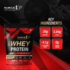 Musclexp 100% Whey Protein With Digestive Enzyme - 1Kg Pouch Double Chocolate Pouch