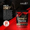 Musclexp 100% Whey Protein With Digestive Enzyme - 1Kg Pouch Double Chocolate Pouch