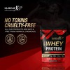 Musclexp 100% Whey Protein With Digestive Enzyme - 1Kg Pouch Double Chocolate Pouch