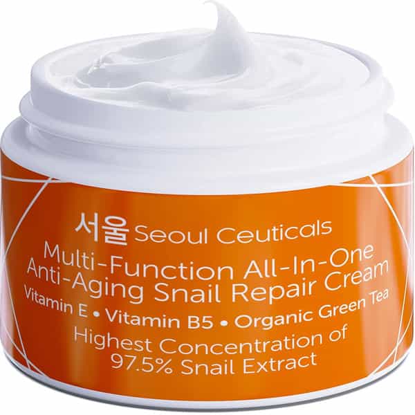 Seoul Ceuticals Multi Function Allinone Snail Repair Cream 60 Ml