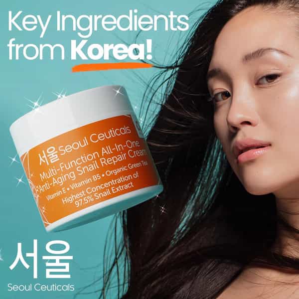 Seoul Ceuticals Multi Function Allinone Snail Repair Cream 60 Ml