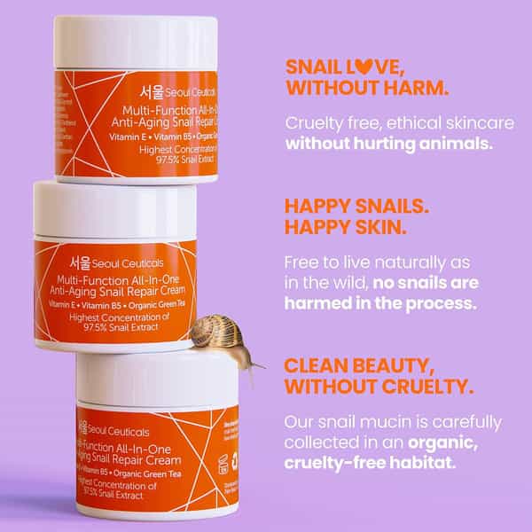 Seoul Ceuticals Multi Function Allinone Snail Repair Cream 60 Ml