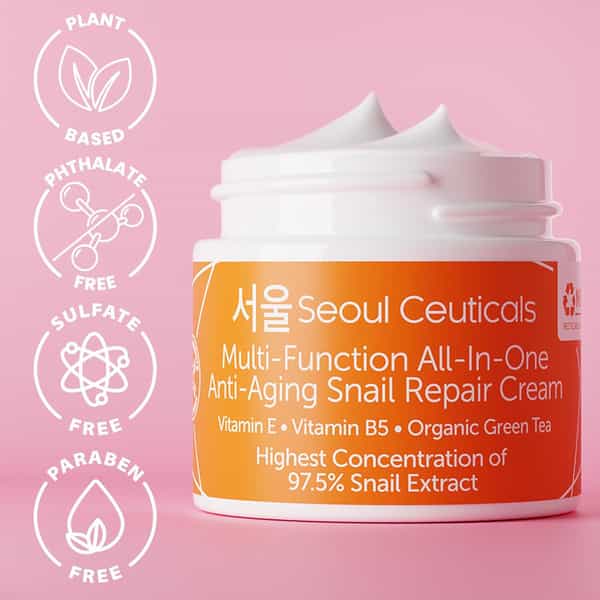 Seoul Ceuticals Multi Function Allinone Snail Repair Cream 60 Ml