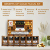 Nutriglow Natural's Advance Pro Formula Papaya Facial Kit & Gold Kesar Facial Kit 60Gm