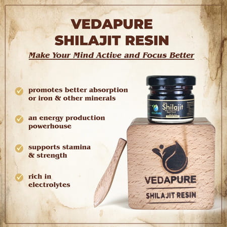 Vedapure Shilajit/Shilajeet Resin For Men & Women Supports General Weakness-25 Gram