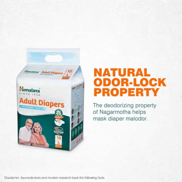 Himalaya Adult Diaper (Large) 10 Pcs | Unisex X Pack Of 2 Adult Diapers - L (20 Pieces)