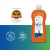 Vize Antiseptic Liquid - 1 Litre