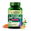 Vlado's Himalayan Organics Plant Based Joint Support With Boswellia Serrata - 60 Veg Tablets