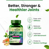 Vlado's Himalayan Organics Plant Based Joint Support With Boswellia Serrata - 60 Veg Tablets