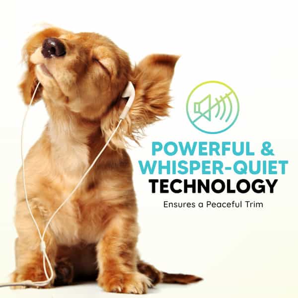 Letsshave Ez-Wizzy Pet Trimmer For Dogs & Cats