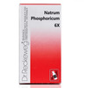 Dr. Reckeweg Natrum Phosphoricum (Pack Of 2)
