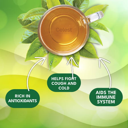 Celest Tulsi Green Tea - 100 Bags